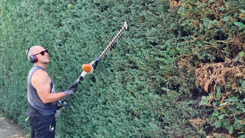 Chantier d'entretien d'espaces verts avec une taille de haie