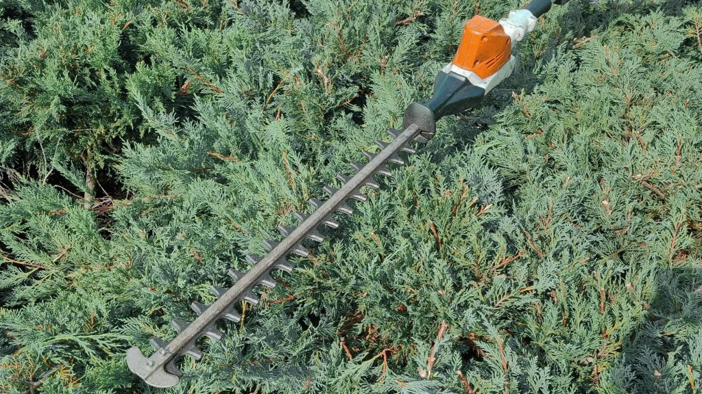 Entretien espaces verts à Toulouse avec taille de haie